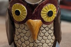 owl-front